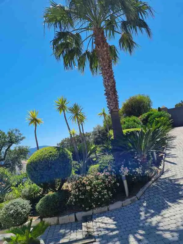 Travaux d'élagage et battage, Sainte-Maxime, Wiss Gardens