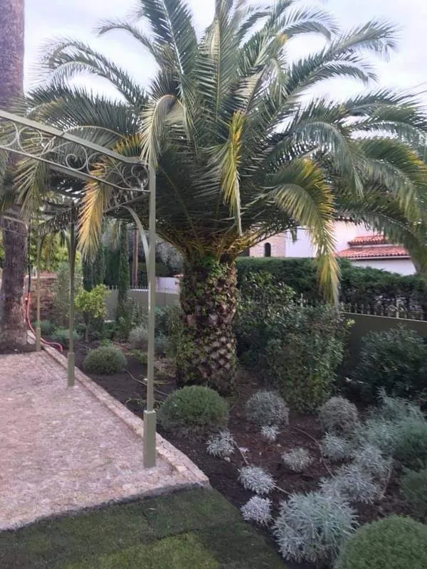 Travaux d'élagage et battage, Sainte-Maxime, Wiss Gardens