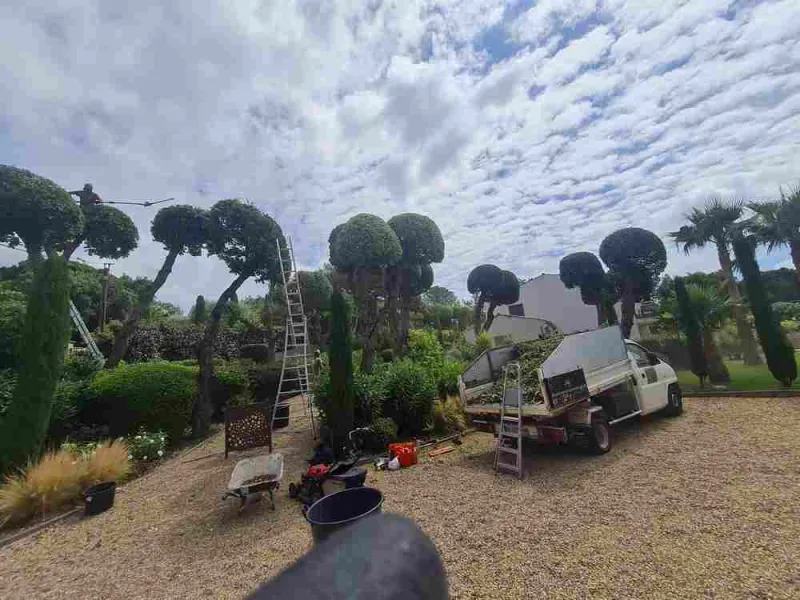 Travaux d'élagage et battage, Sainte-Maxime, Wiss Gardens