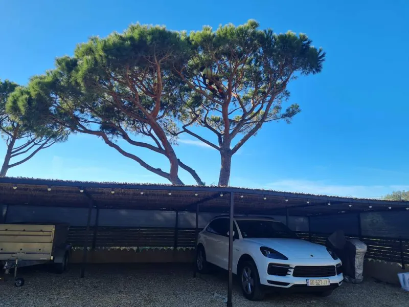 Travaux d'élagage et battage, Sainte-Maxime, Wiss Gardens