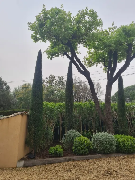 Entretien de jardin pour particuliers à Grimaud, Sainte-Maxime, Wiss Gardens